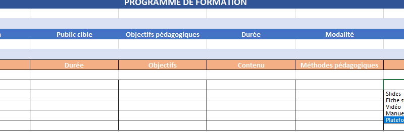 Modèle de programme de formation : structure, contenu + Exemples