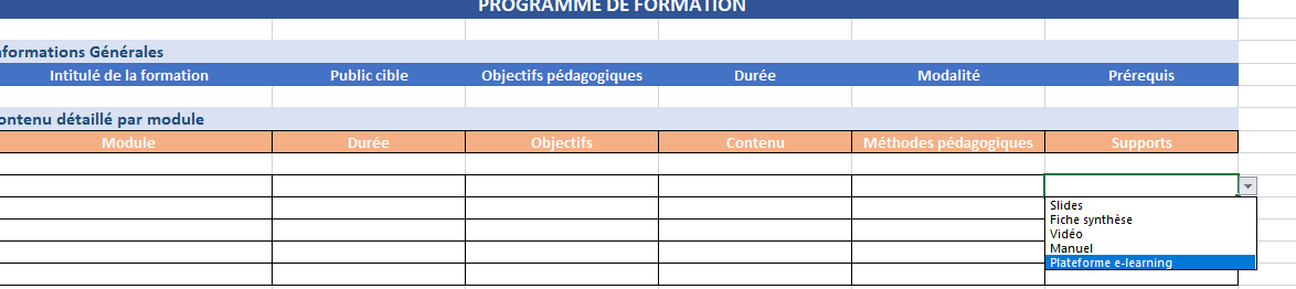 Modèle de programme de formation : structure, contenu + Exemples