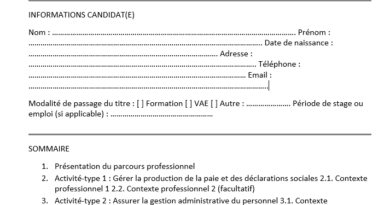 Administrateur de paie : Modèle à Rempli + Guide pour obtenir le titre
