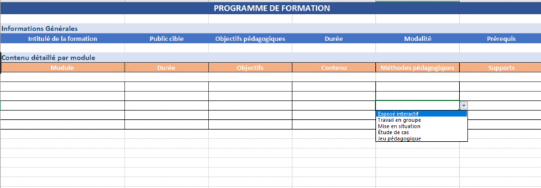 Modèle de programme de formation : Exemples