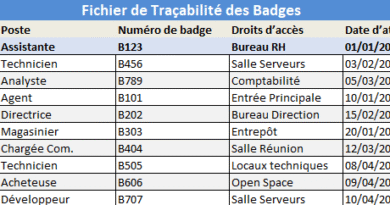 Fichier Excel de traçabilité des badges et des droits d’accès ( Version Imprimable et Automatisé )