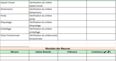 Fiche Excel de contrôle de conformité des produits finis : Exemples
