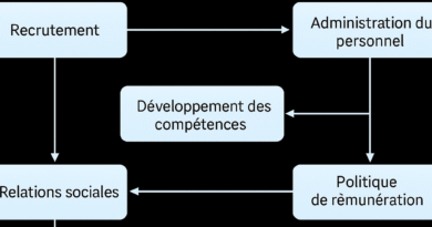 MODÈLE DE CARTOGRAPHIE RH