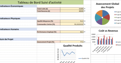 Tableau de Bord de Suivi d'Activité