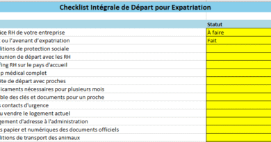 Départ en Expatriation : Checklist RH & Logistique Téléchargeable