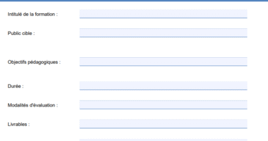 Guide – Meilleure Formation Conduite du Changement