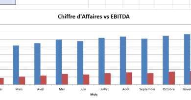 Chiffre d’Affaires : Modèle Excel - CA, Résultat Net, EBITDA & Ratios et ses cas particuliers