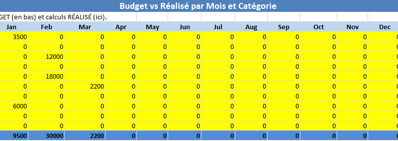 Budget Prévisionnel d’Entreprise et Indicateurs d’Alerte Précoce : Modèle Excel Automatisé