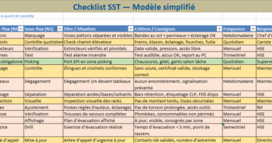 Checklist SST à Télécharger— Guide terrain 80/20 (nouvelle approche par « parcours » + critères binaires)