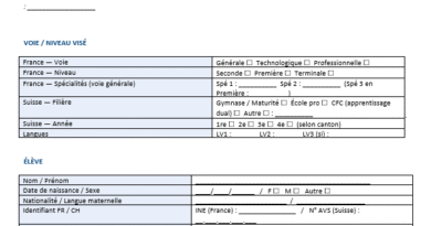 Fiche d’inscription — Lycée / centre privé : Modèle Word