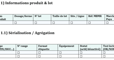 Dossier de lot pharmaceutique (BMR/BPR) : modèle Word, guide détaillé, pratique et actionnable