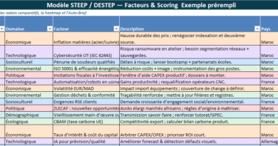 STEEP/DESTEP Excel : Modèle Excel Vierge + Exemple prérempli - la veille éclatée à des décisions comparables