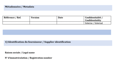 Fiche Fournisseur Préqualification : Modèle Word