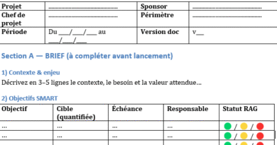 Fiche Brief & Debrief Projet : Modèle Word + Version Imprimable