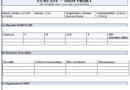 Fiche brief projet Word : mode d’emploi