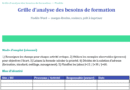 Grille d’analyse des besoins de formation : modèle Word