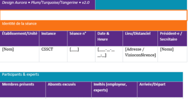 PV CSSCT : écrire pour décider, documenter et protéger + Modèle Word téléchargeable