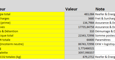 Simulateur transport conteneur frigorifique (Reefer) : guide complet 2026