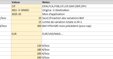 Incoterms 2020 : BAF, PSS, GRI : comprendre, chiffrer, négocier en 2026 : Modèle Word et Excel