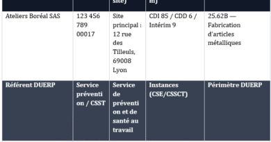 DUERP d’« Ateliers Boréal SAS » : de la cartographie des expositions au pilotage des actions