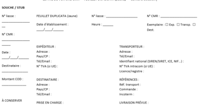 CMRDoc, la “boîte noire” d’un transport routier : Modèles à télécharger ( conformes)