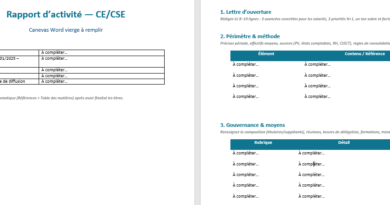 Exemple de rapport d’activité — Comité d’Entreprise (CE/CSE)