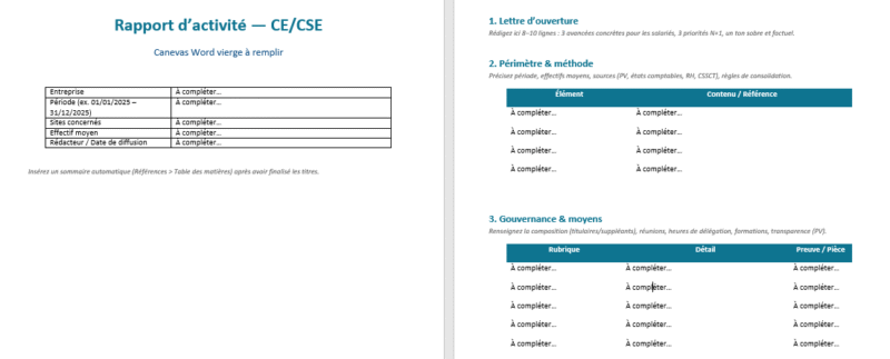 Exemple de rapport d’activité — Comité d’Entreprise (CE/CSE)