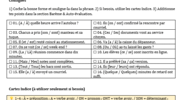 Guide pratique — Homophones en français + Exercices CCDMD types