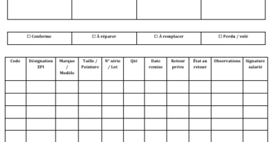 Fiche EPI — Remise & Suivi : traçabilité, responsabilité et efficacité opérationnelle