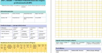DVP/DUERP : Checklist identification des risques professionnels+ DUERP — Exemple complet