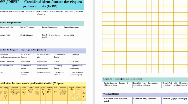DVP/DUERP : Checklist identification des risques professionnels+ DUERP — Exemple complet