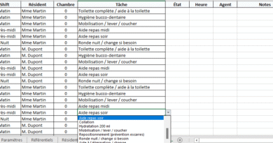 Modèle Excel de Plan de soins automatisé en EHPAD pour Aides-soignants : méthode, outils et mode d’emploi