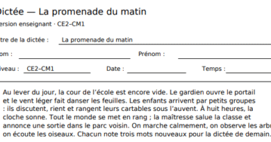 Dictées remplies + grilles de correction (corrigées)