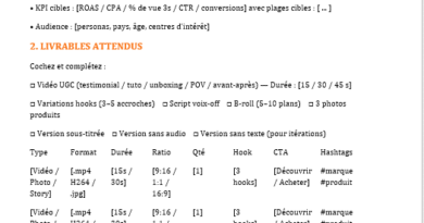 Brief UGC (Word) — guide détaillé + modèle prêt à l’emploi