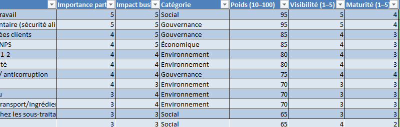 Matrice de matérialité : Modèle Excel et Word à remplir — de la cartographie des enjeux à la double matérialité