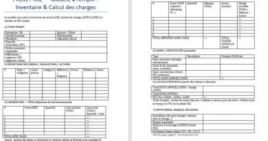 Projet RSE à remplir (Word) — Inventorier, chiffrer, décider