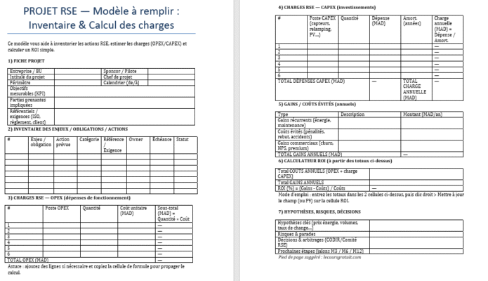 Projet RSE à remplir (Word) — Inventorier, chiffrer, décider