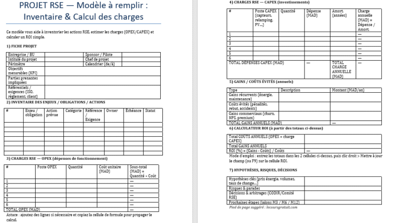 Projet RSE à remplir (Word) — Inventorier, chiffrer, décider