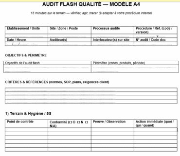 Audit flash qualité — modèle Word à remplir
