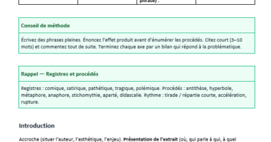 Commentaire composé — Dom Juan de Molière + modèle prêt à remplir