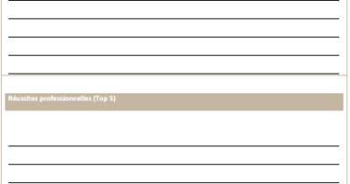 Bilan personnel & professionnel : Modèles à imprimer