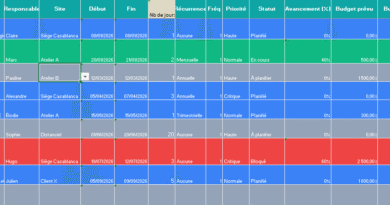 Programme d’activité annuel : modèle Excel gratuit — déclinaisons incluses