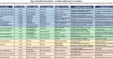 Plan comptable d’association : Modèle Excel à télécharger + modèle simplifié