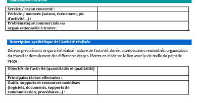 Fiche compte rendu d’activité BTS MCO