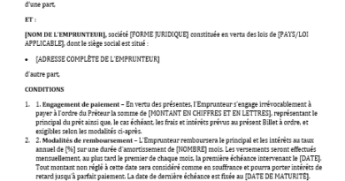 Billet à ordre Exemples dans Word