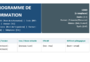Modèle de Programme de formation ( format Word )