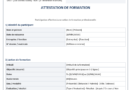 Attestation de formation imprimable : modèles Word