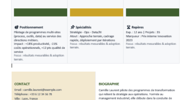 Modèle de biographie Word : créer une bio élégante, professionnelle et prête à imprimer