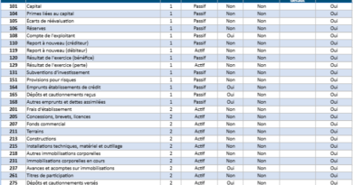 Plan Comptable Général : balance comptable Excel premium avec PCG complet intégré