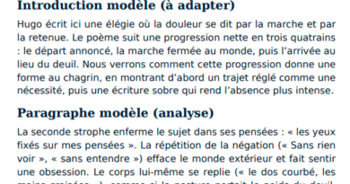 Commentaire composé en poésie au bac français : Exemples Guidés